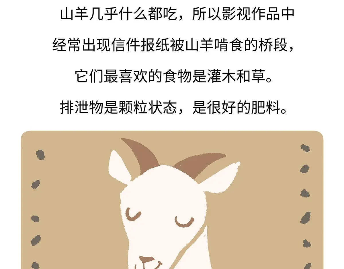 第169话 第28页