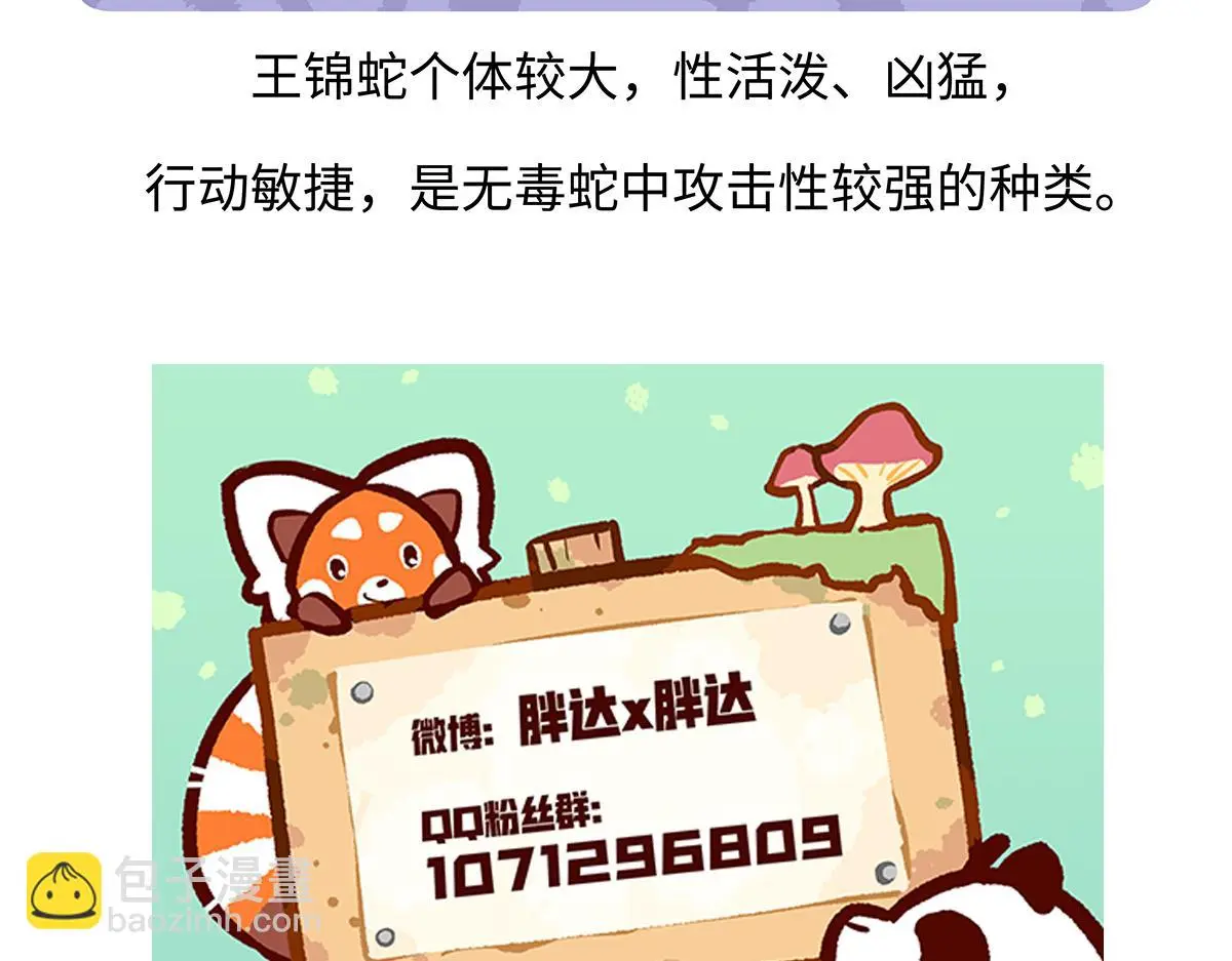 第164话 第31页