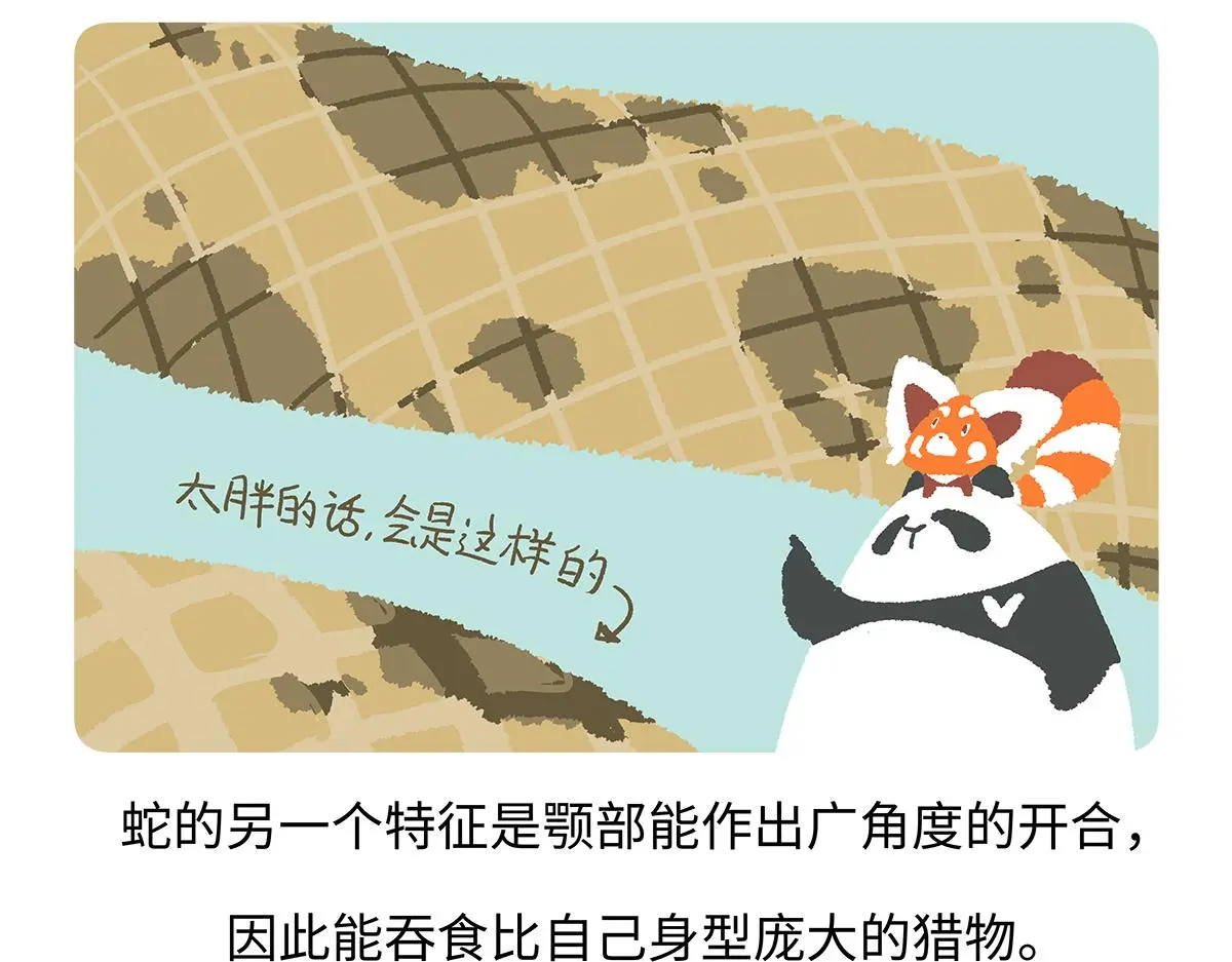第163话 第21页