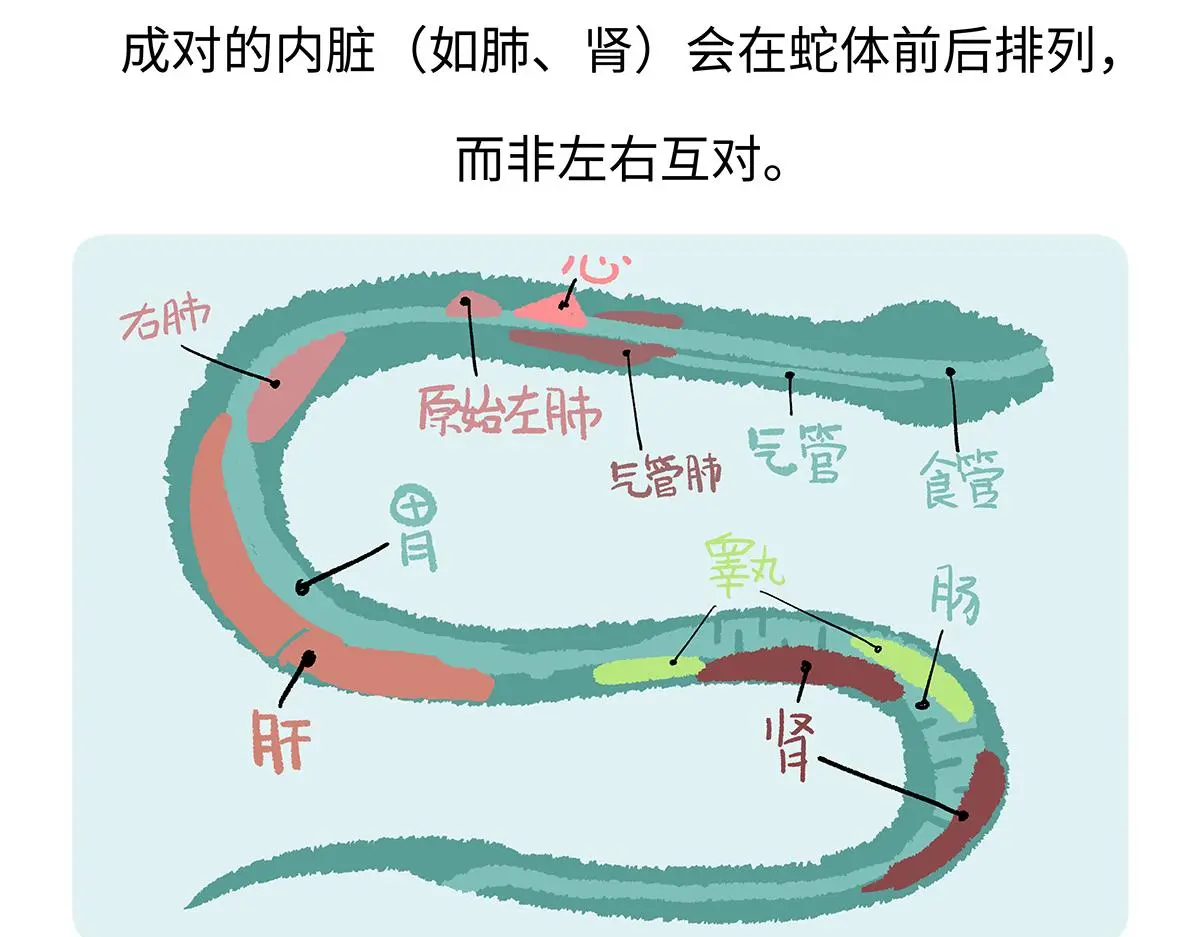 第163话 第26页