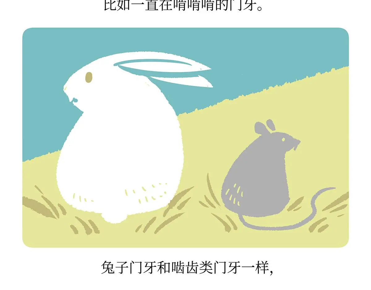 第160话 第28页