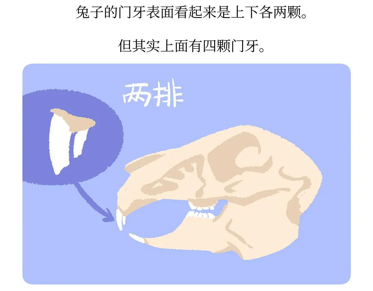 第160话 第31页