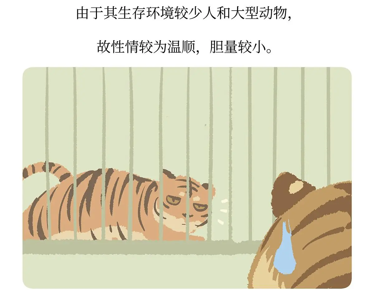 第159话 第23页