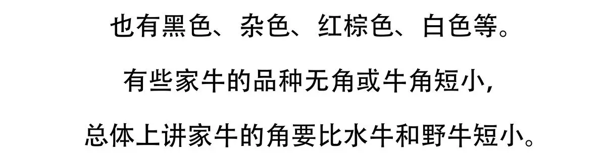 第157话 第20页
