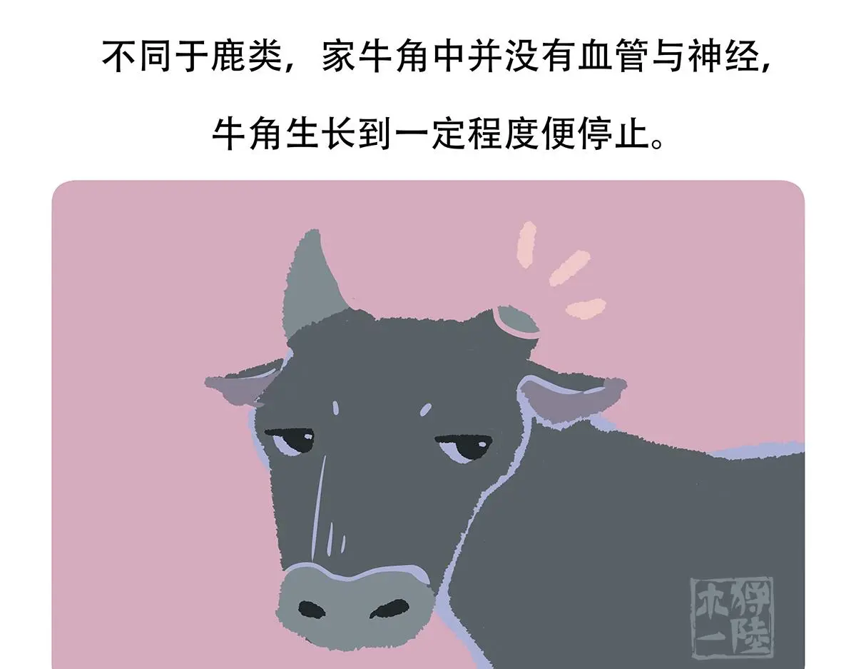第157话 第22页