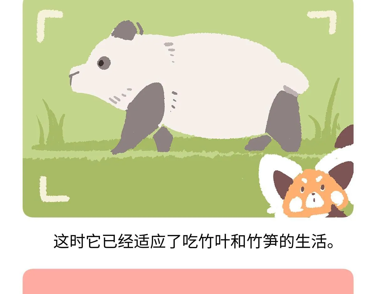 第181话 第24页