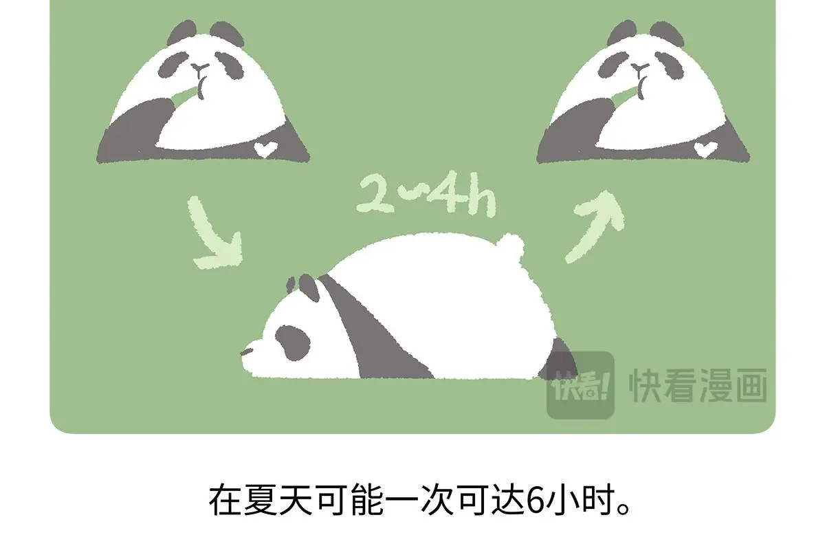 第183话 第21页
