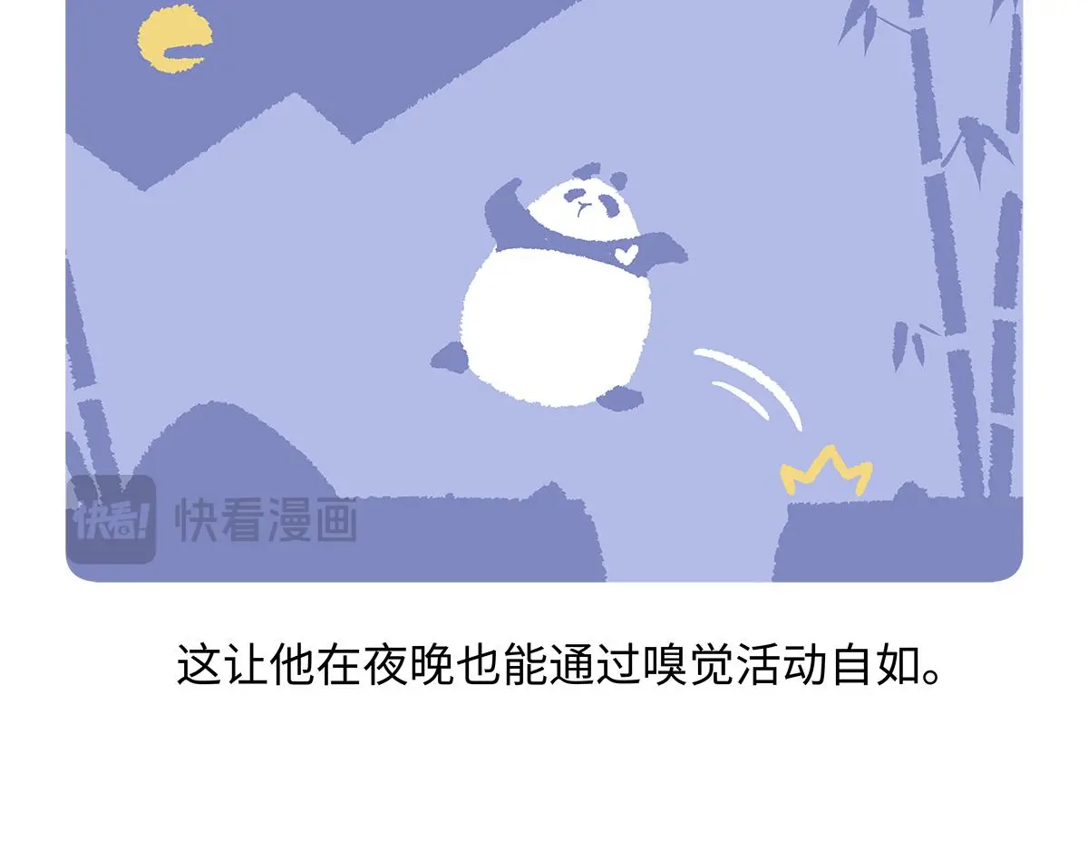 第183话 第29页