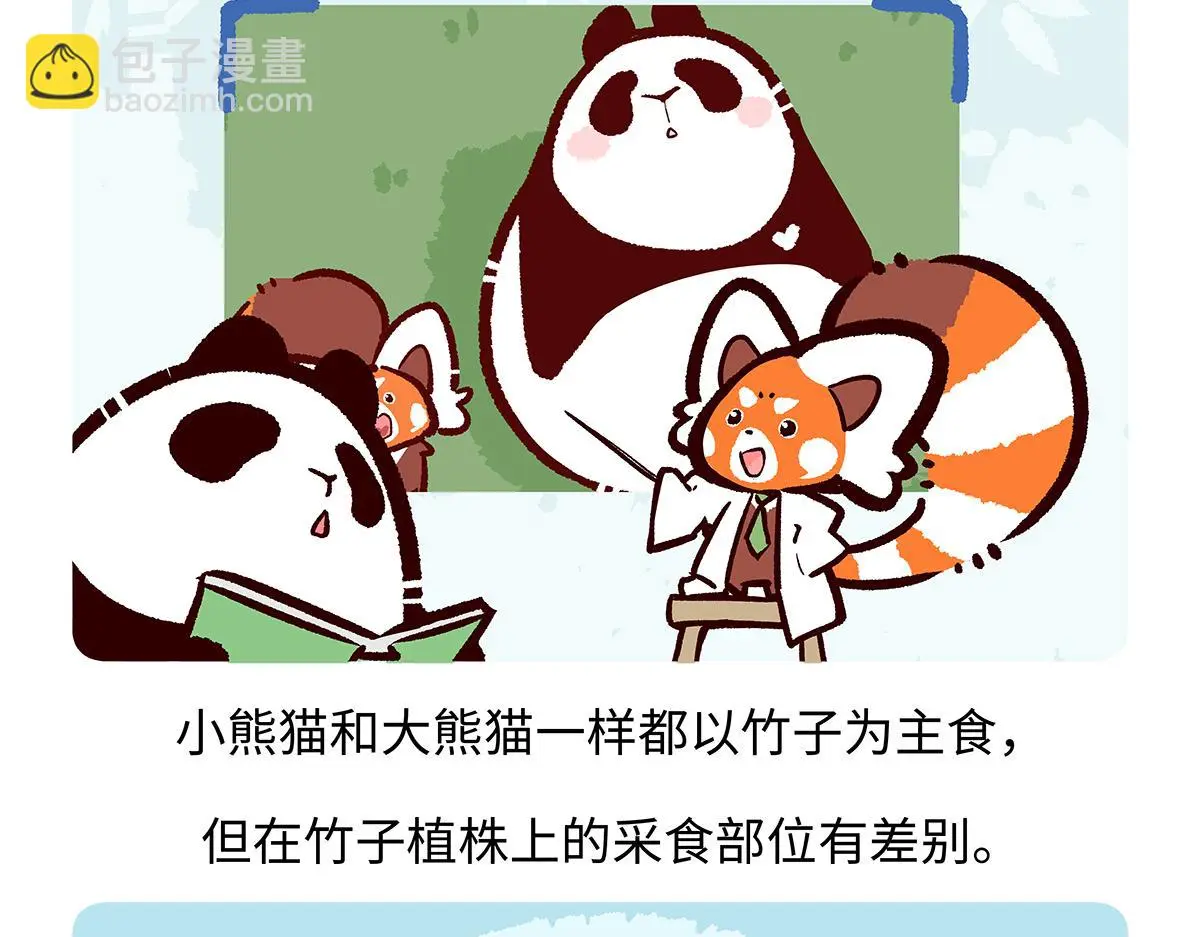第184话 第17页