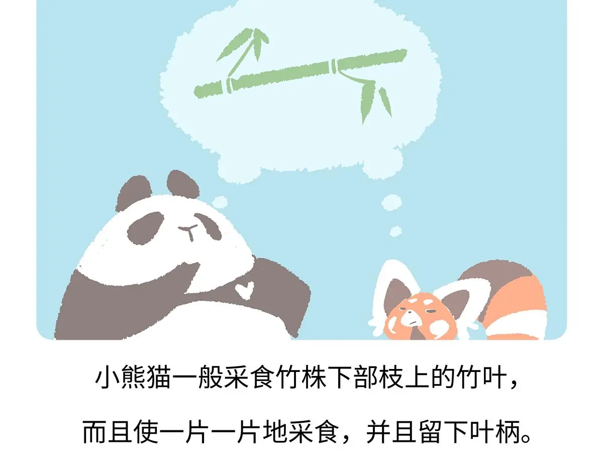 第184话 第18页