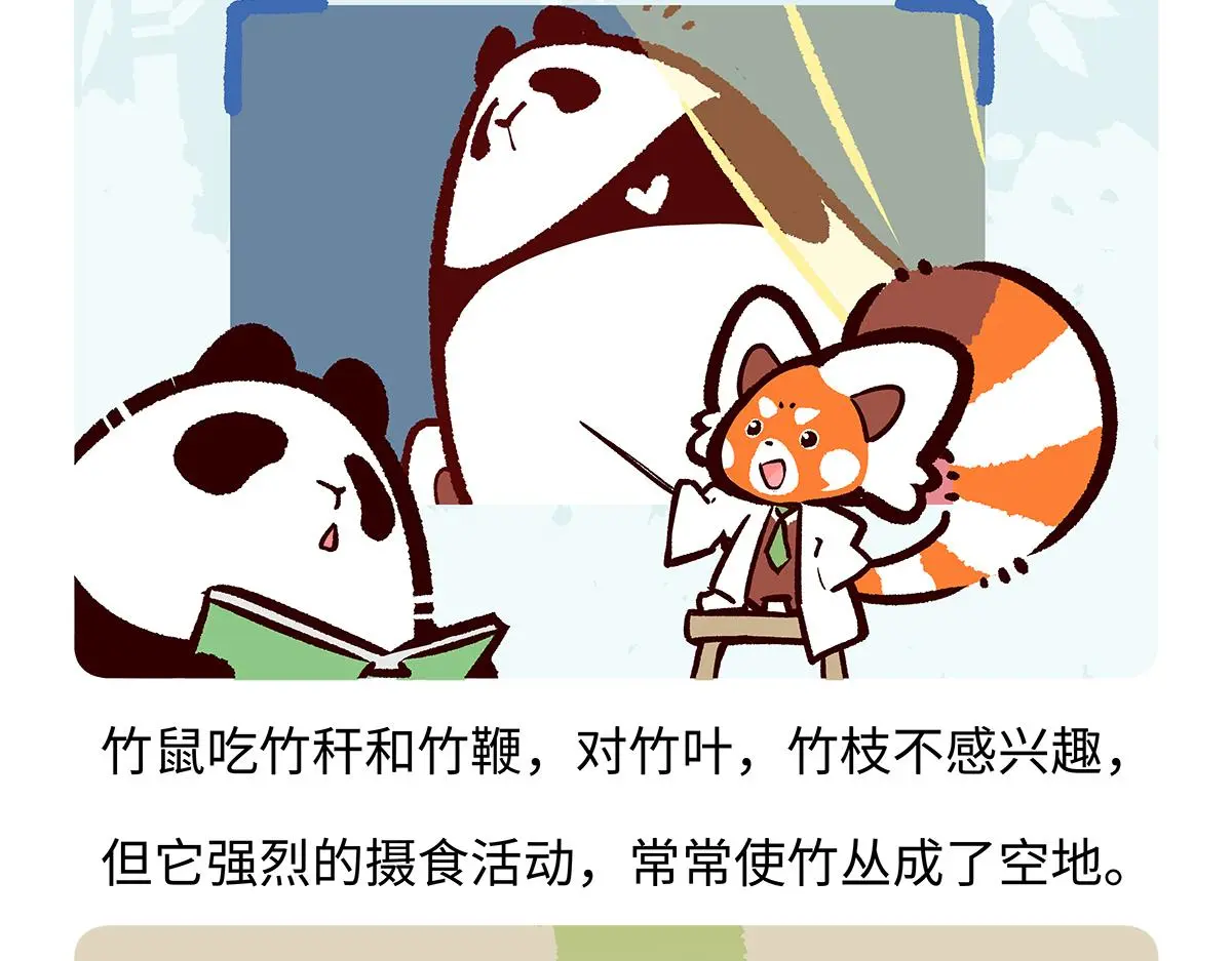第184话 第23页