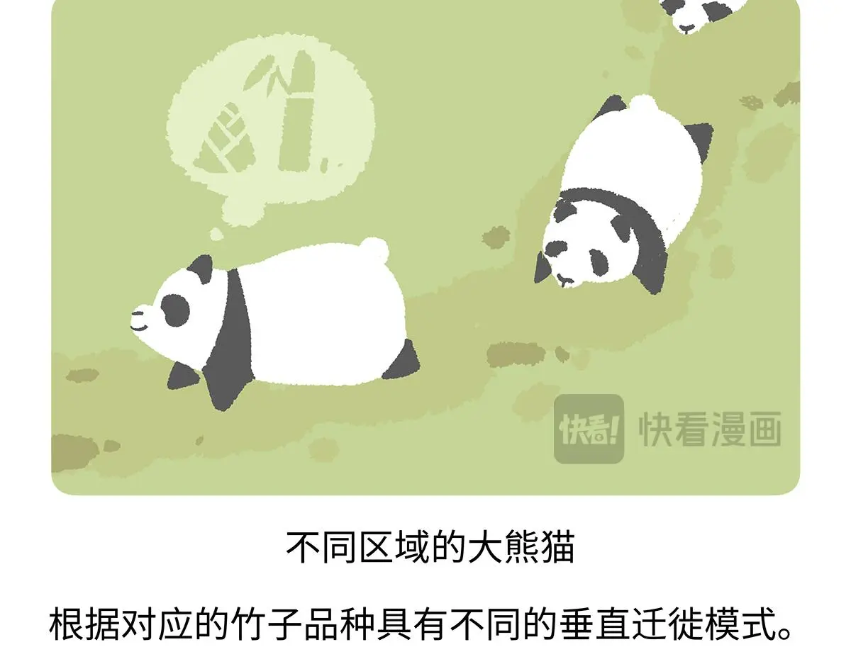 第186话 第18页