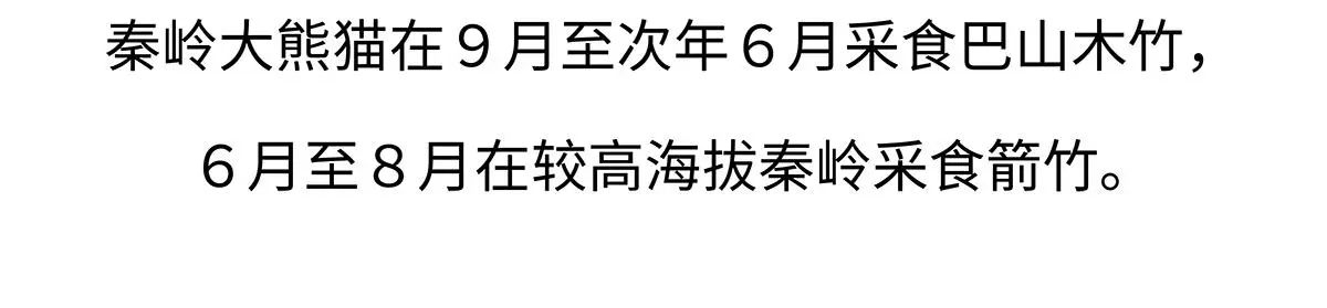 第186话 第22页