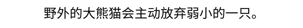 第187话 第22页