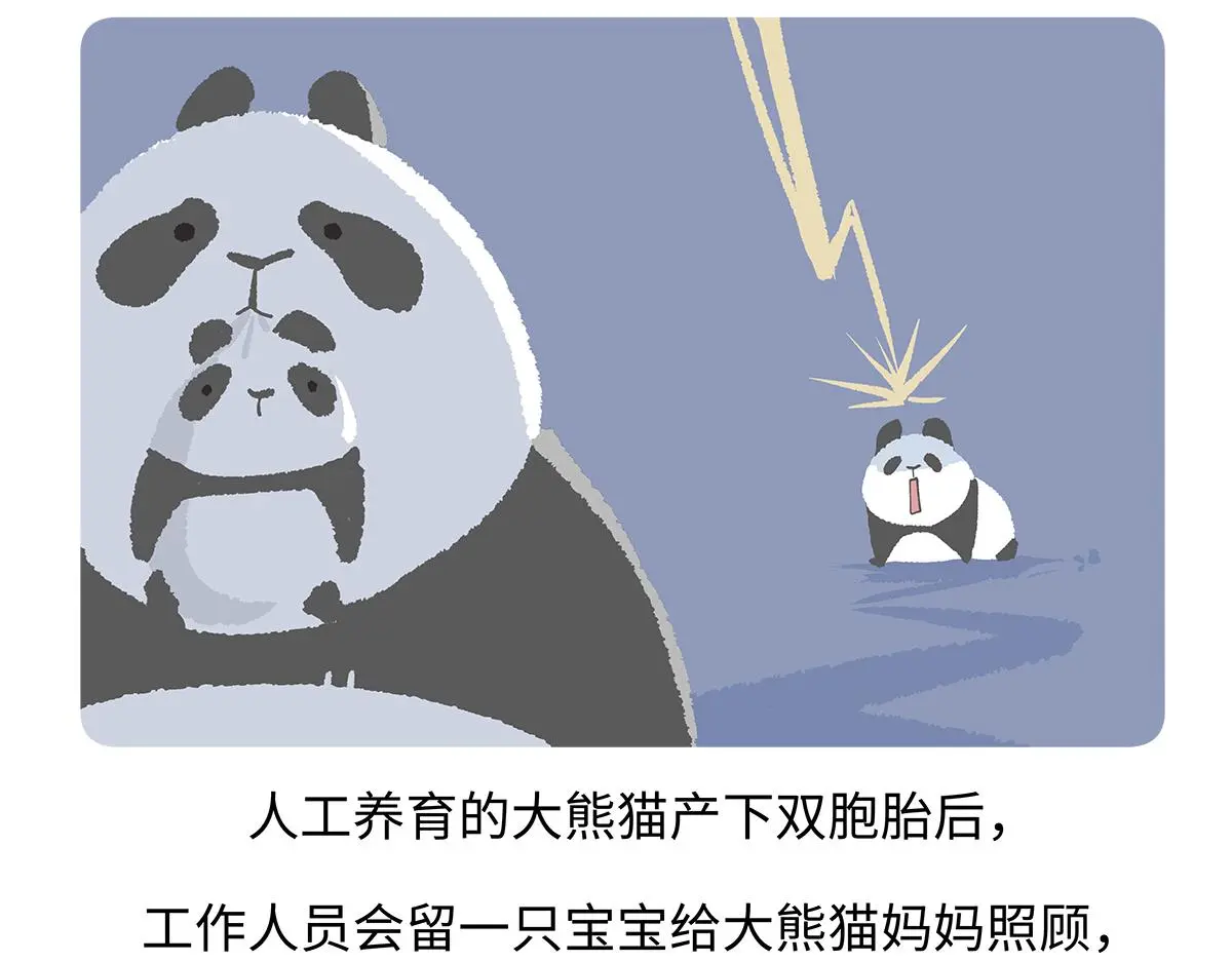 第187话 第23页