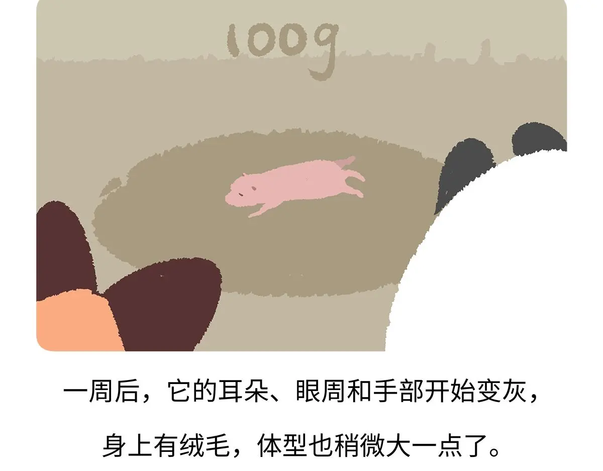 第187话 第28页
