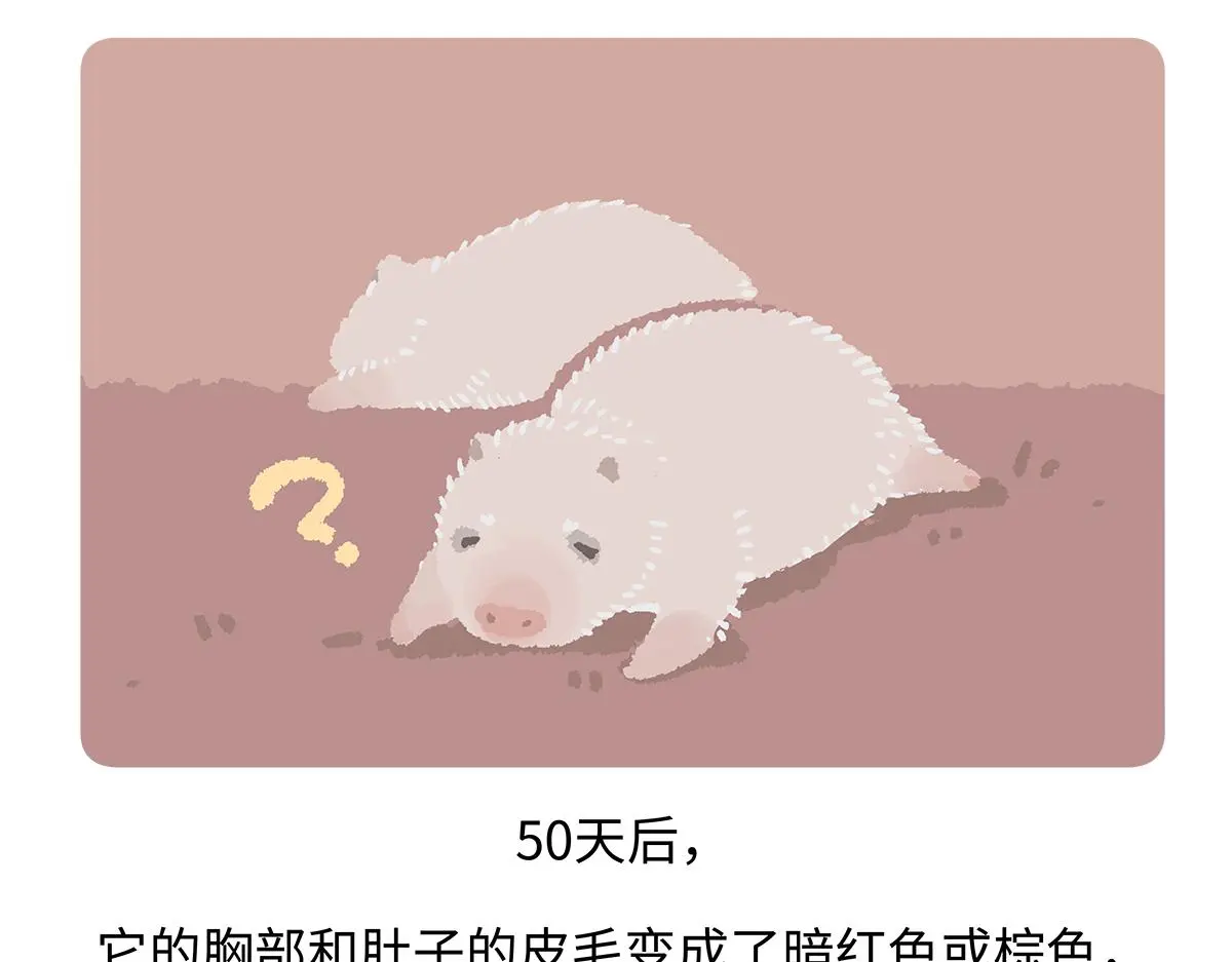 第187话 第29页