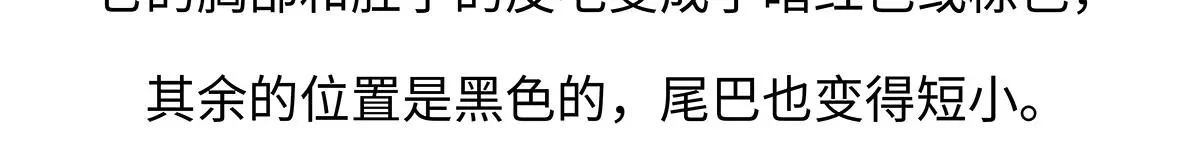 第187话 第30页
