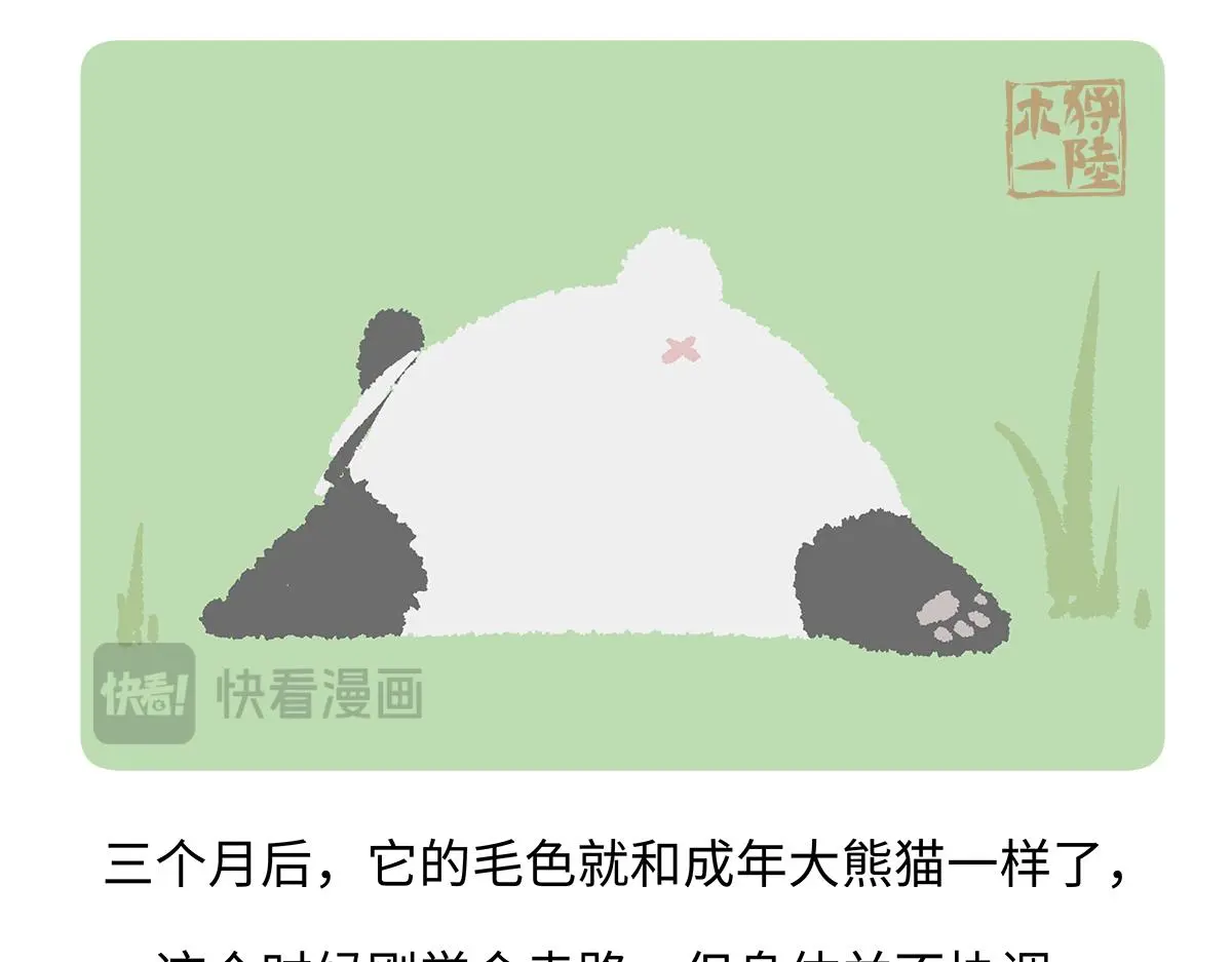 第187话 第31页