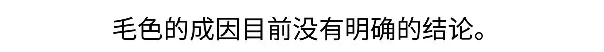 第188话 第22页