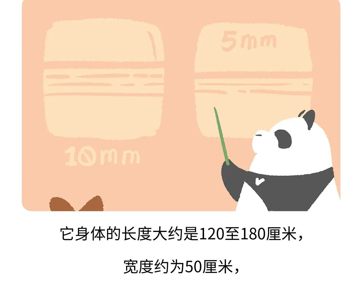 第188话 第28页