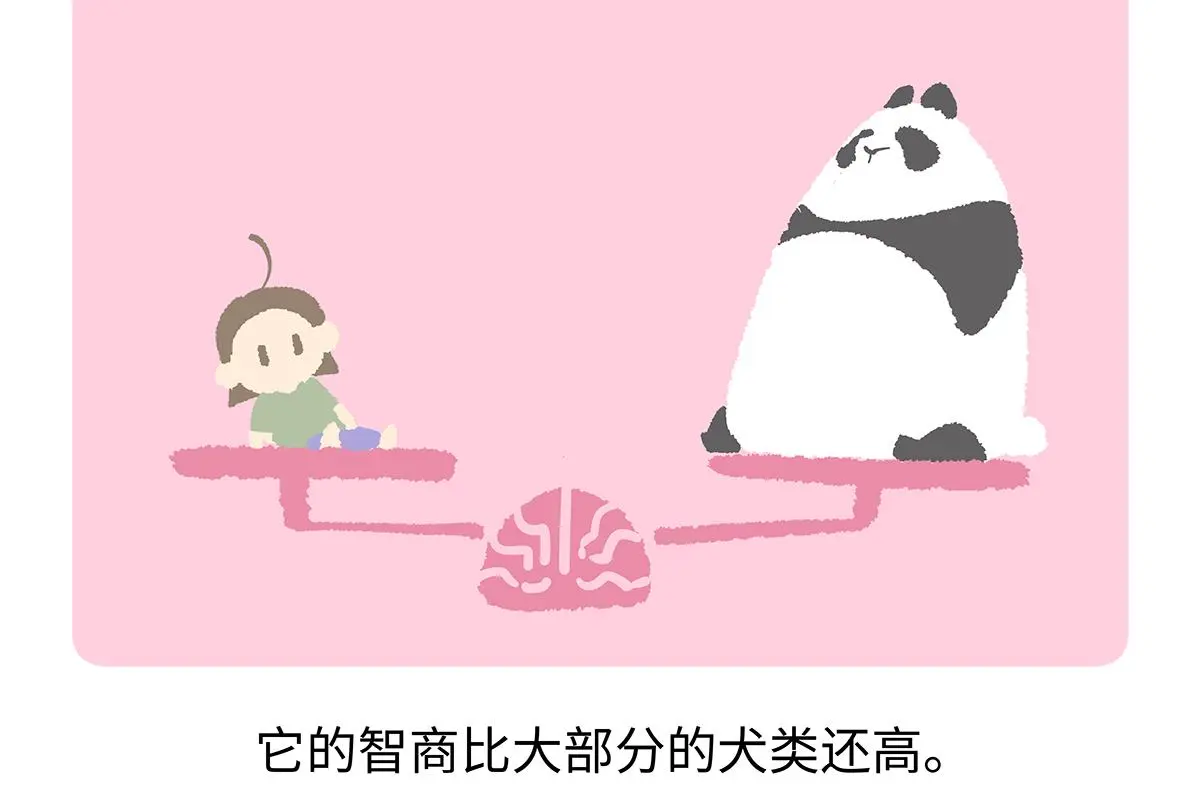 第190话 第21页