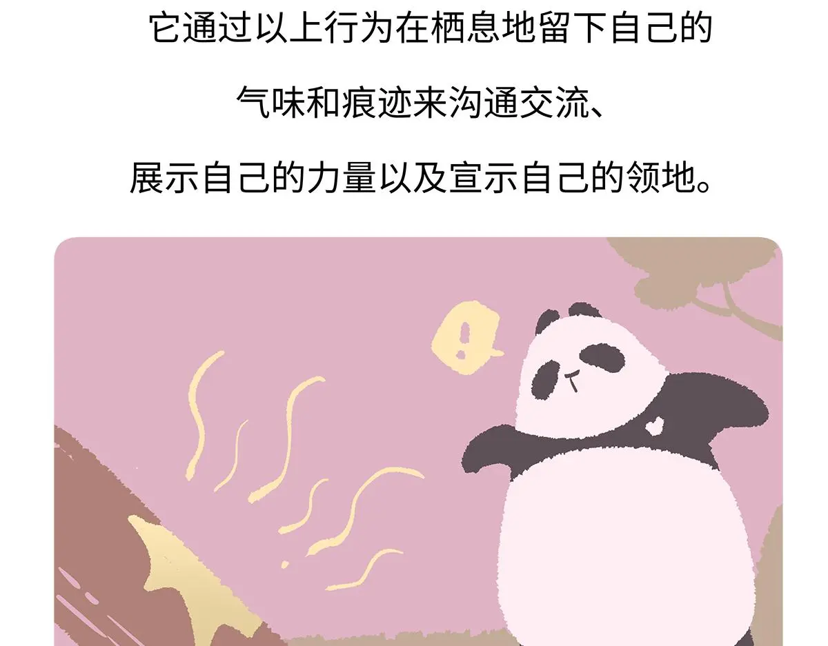 第190话 第28页