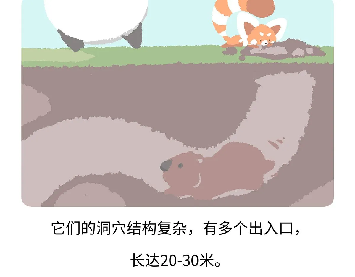 第193话 第25页