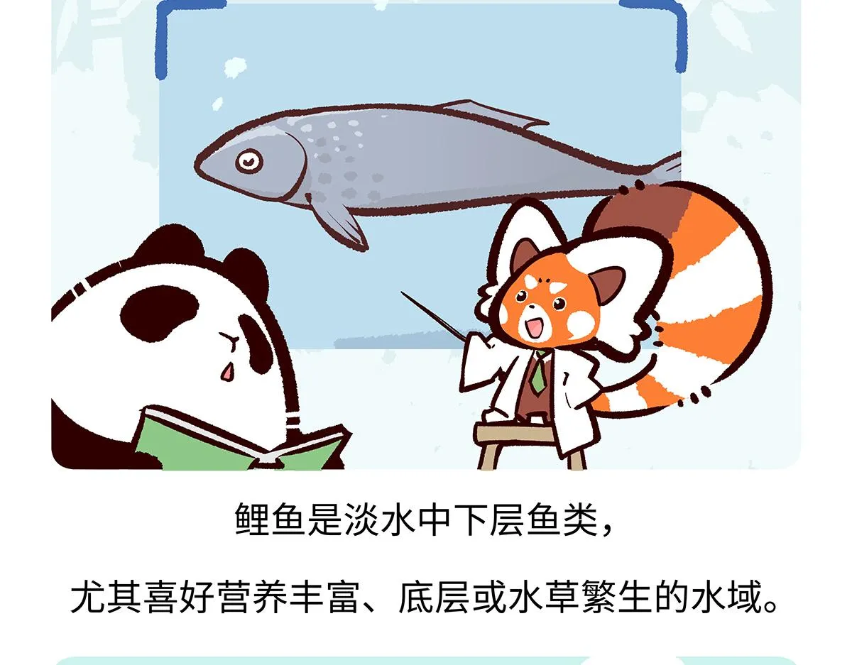 第194话 第19页