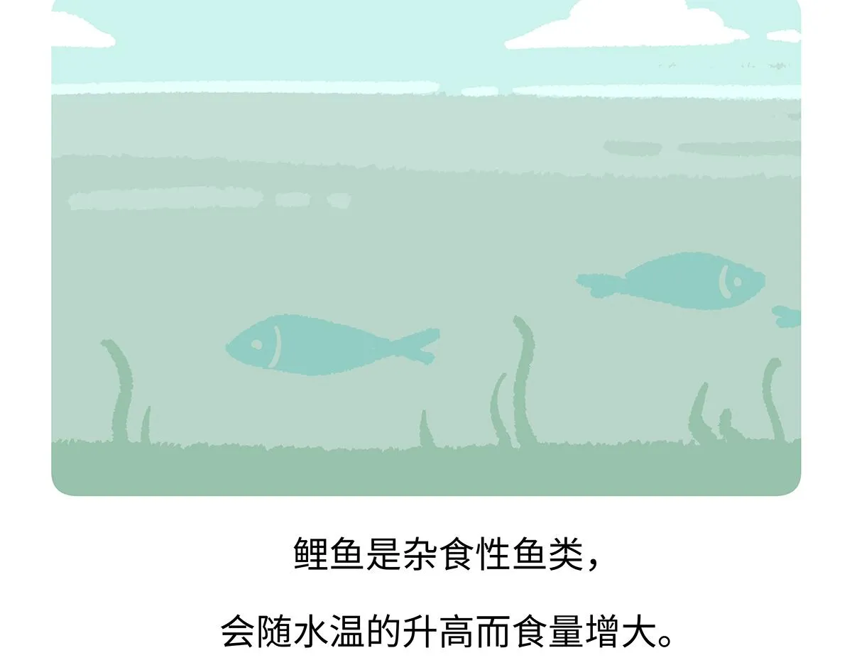 第194话 第20页