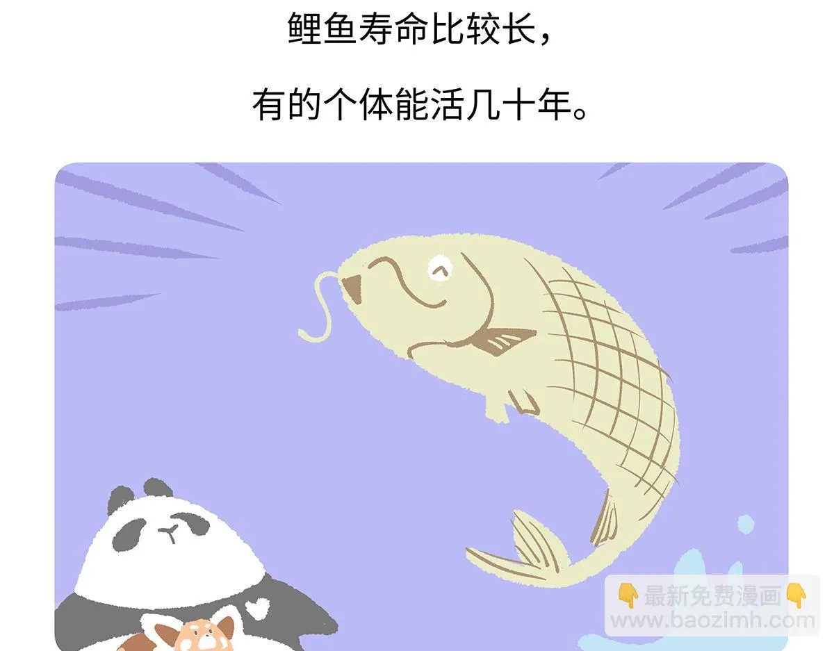第194话 第29页