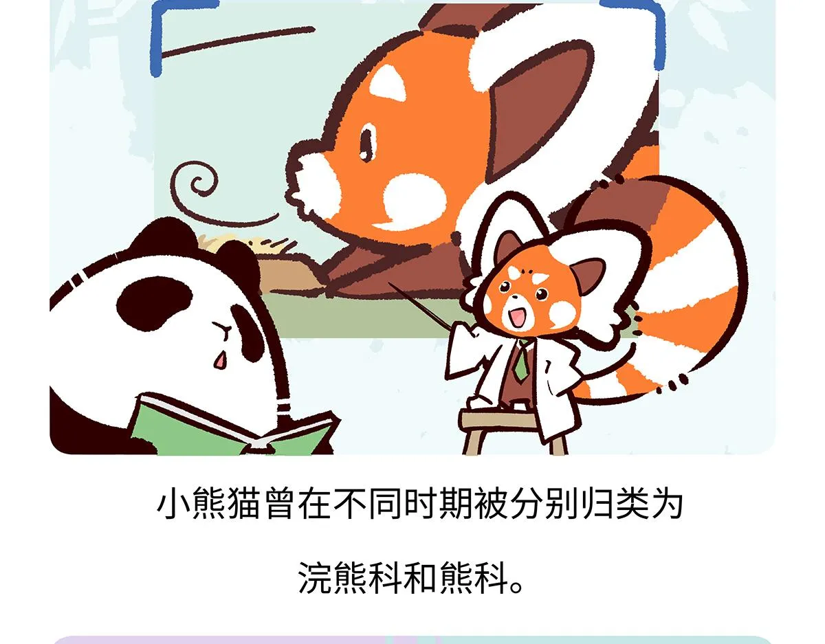 第195话 第19页
