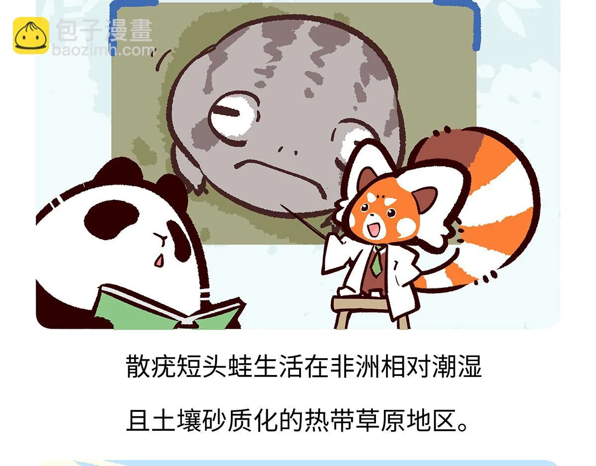 第196话 第19页