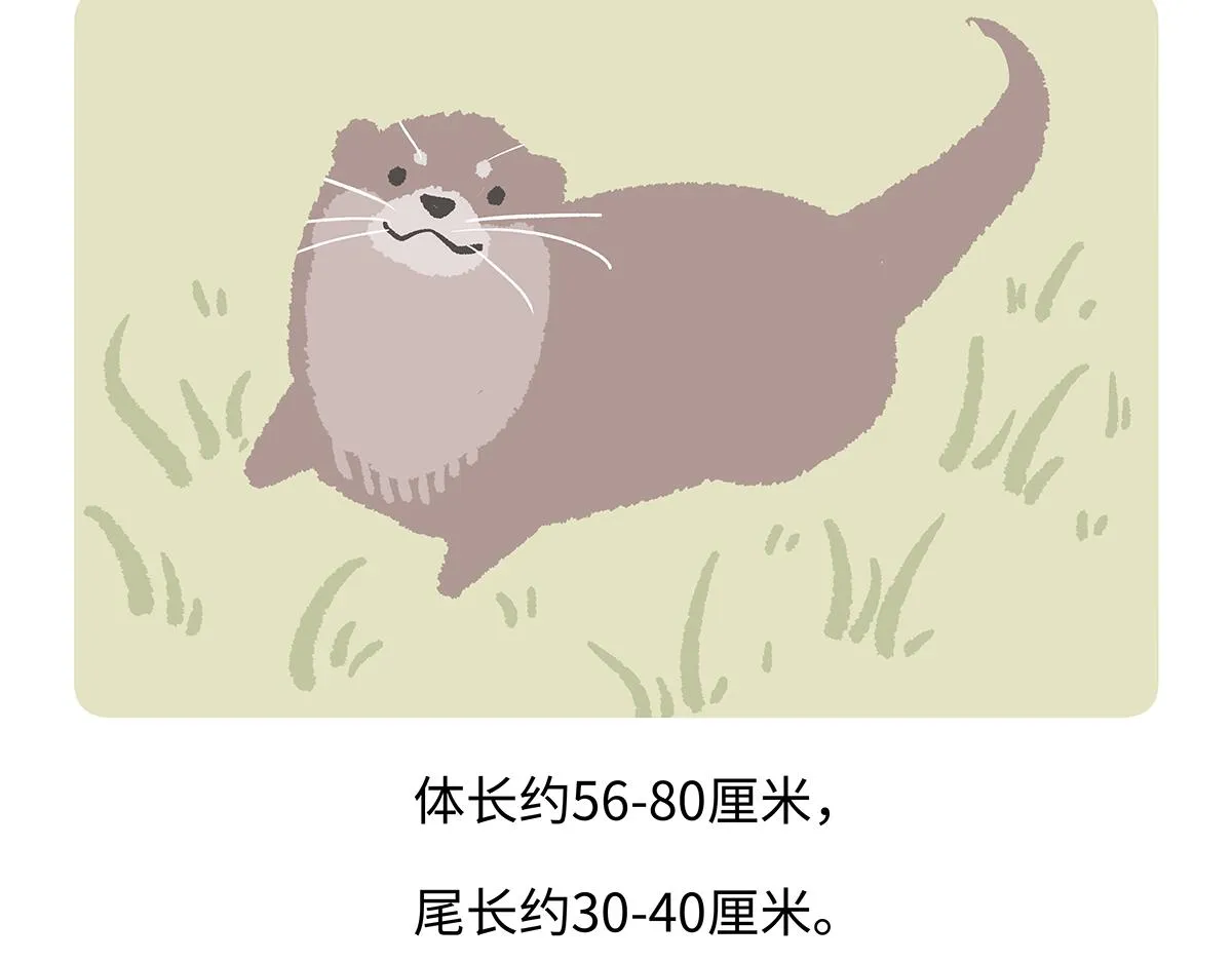第197话 第20页