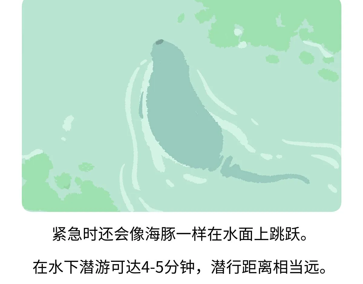 第197话 第27页