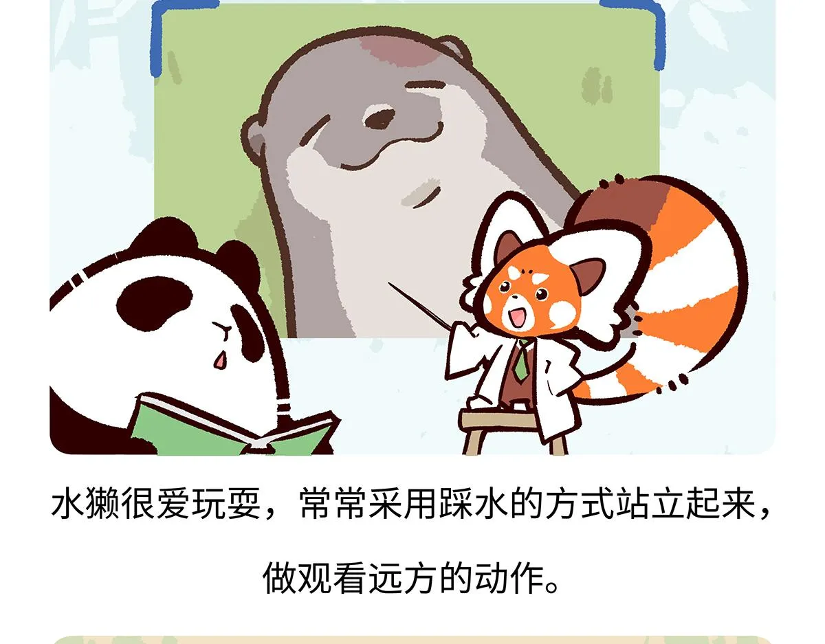 第198话 第19页