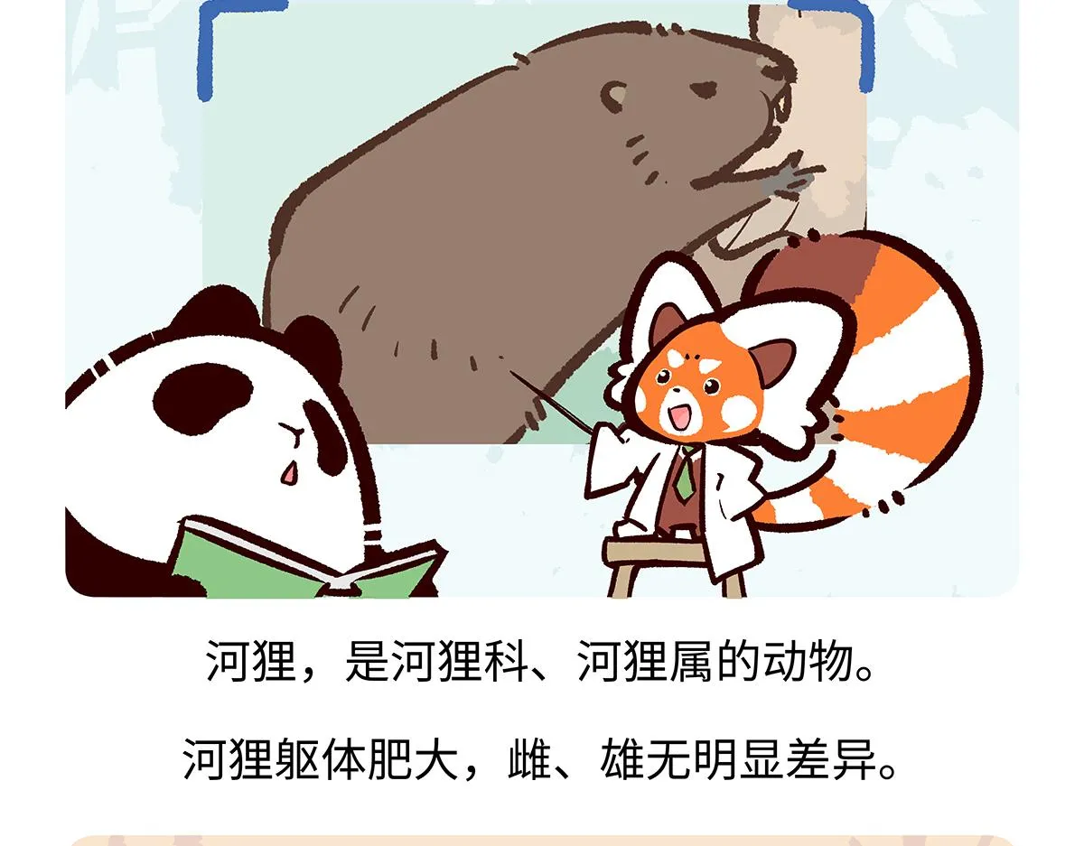 第199话 第20页
