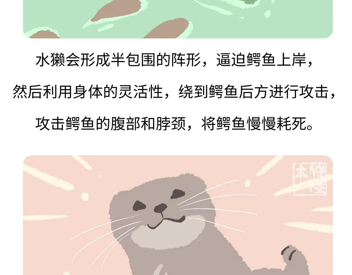 第202话 第22页