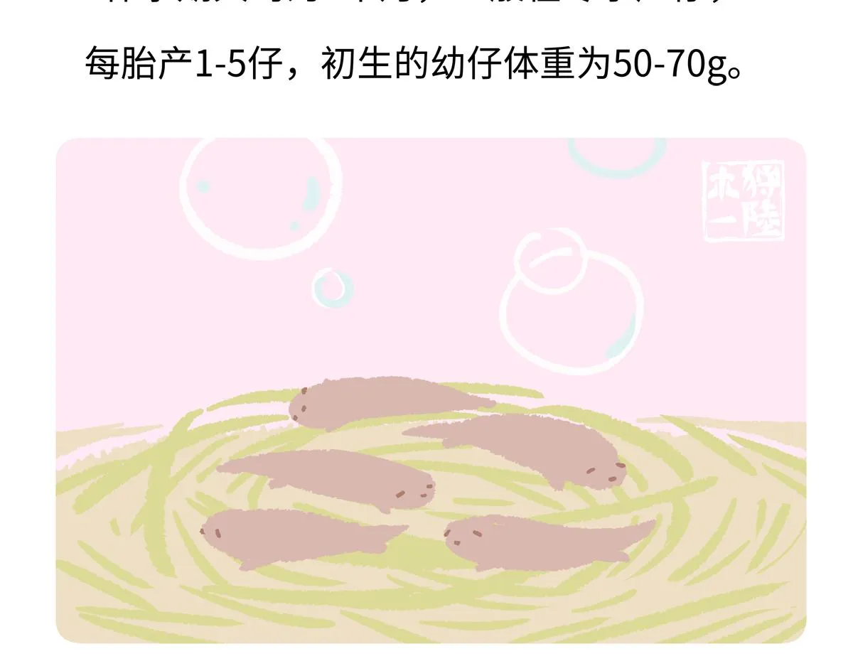 第203话 第23页