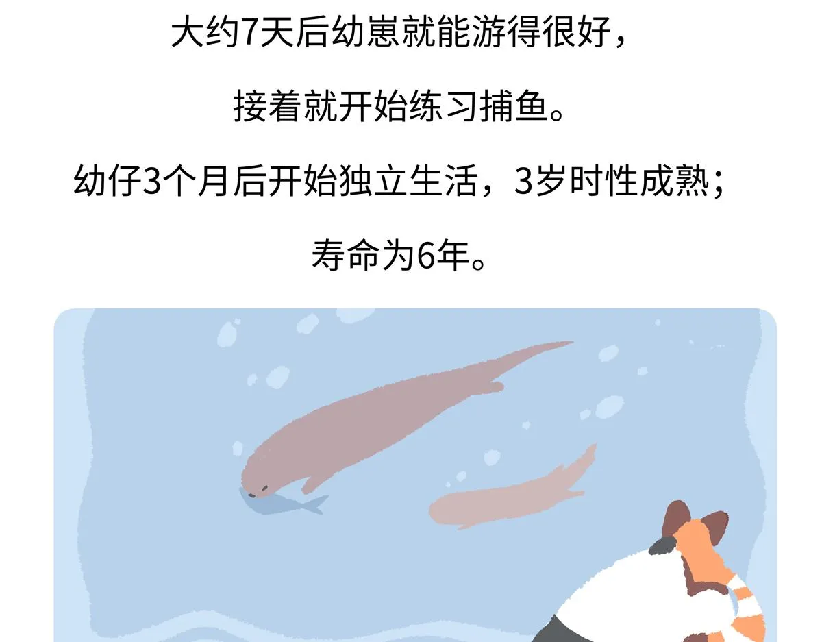 第203话 第29页
