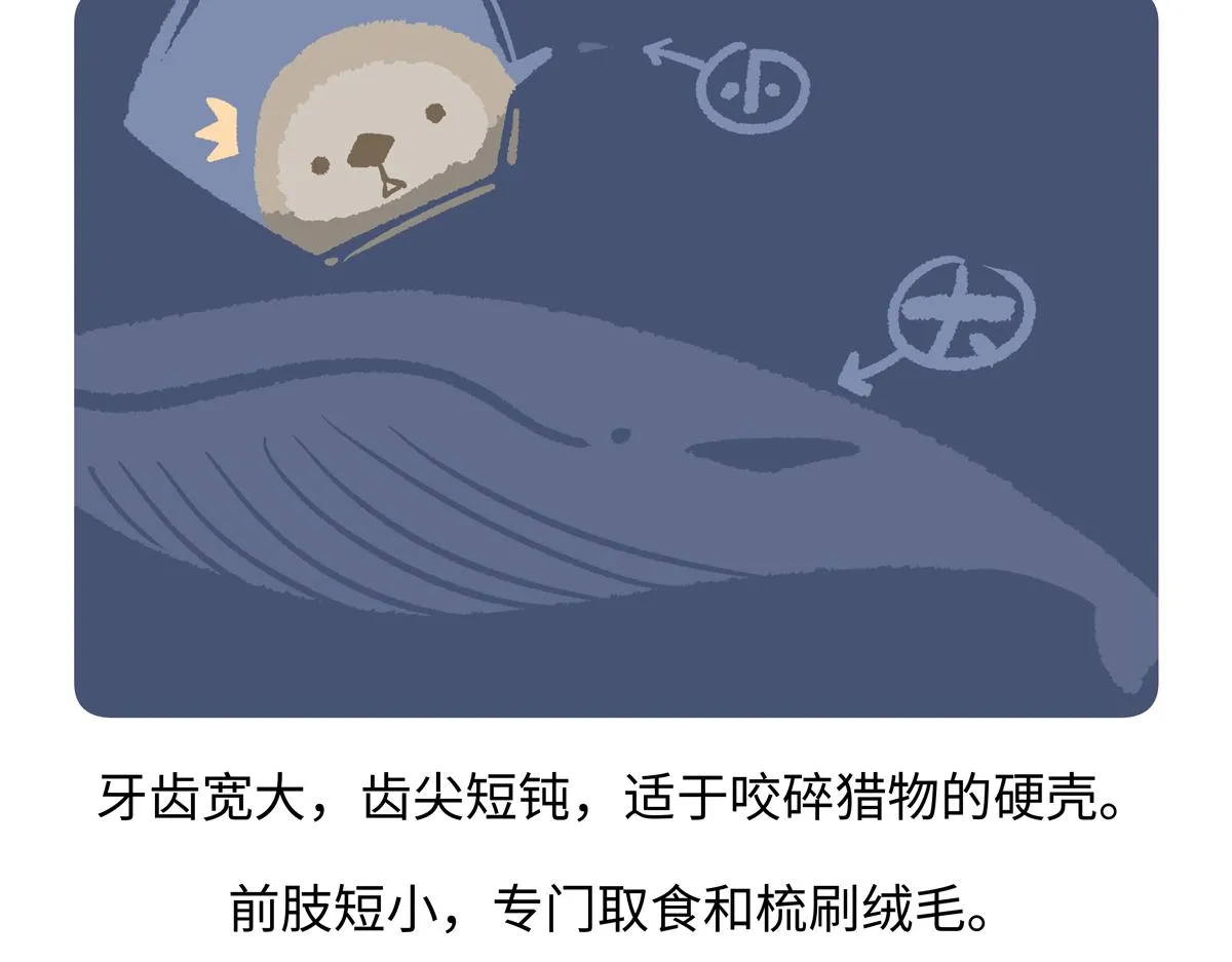 第204话 第22页