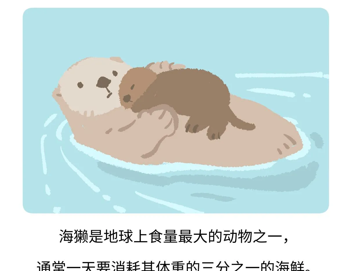第205话 第21页