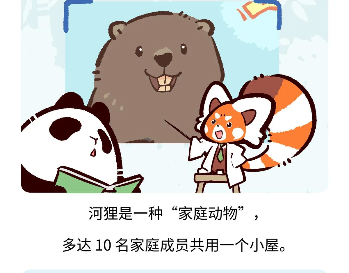 第209话 第17页