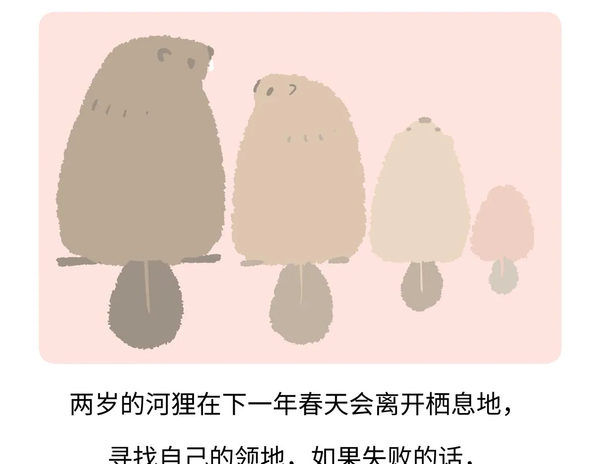 第209话 第19页