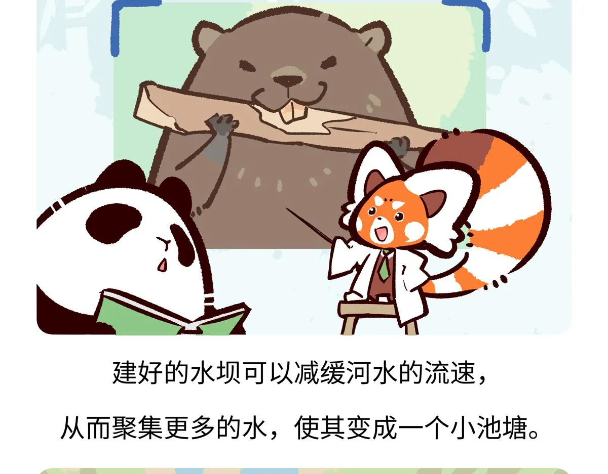第210话 第20页