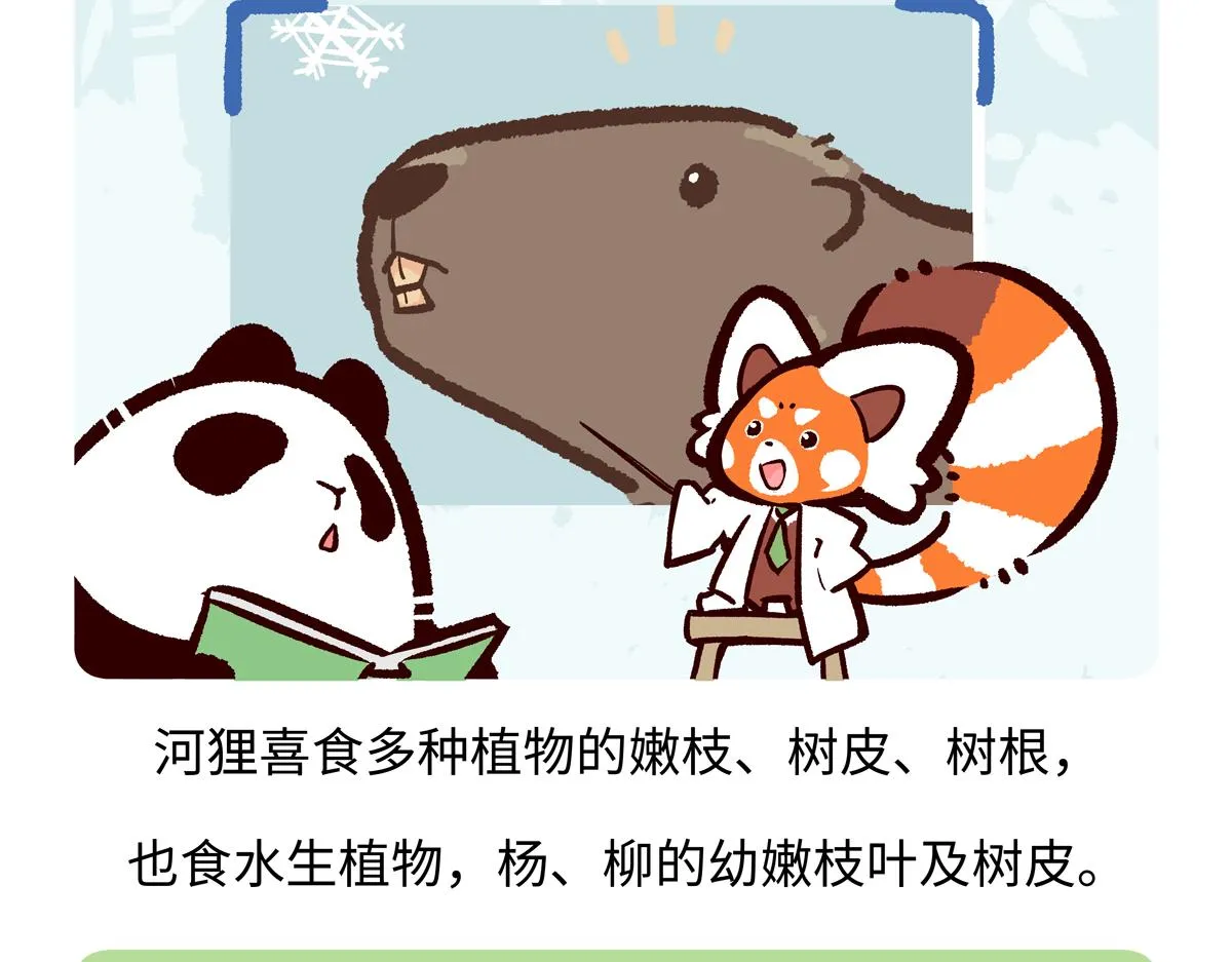 第211话 第18页
