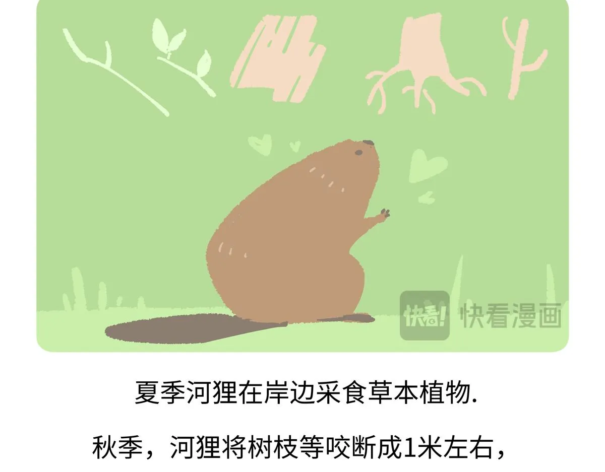 第211话 第19页