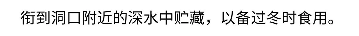 第211话 第20页