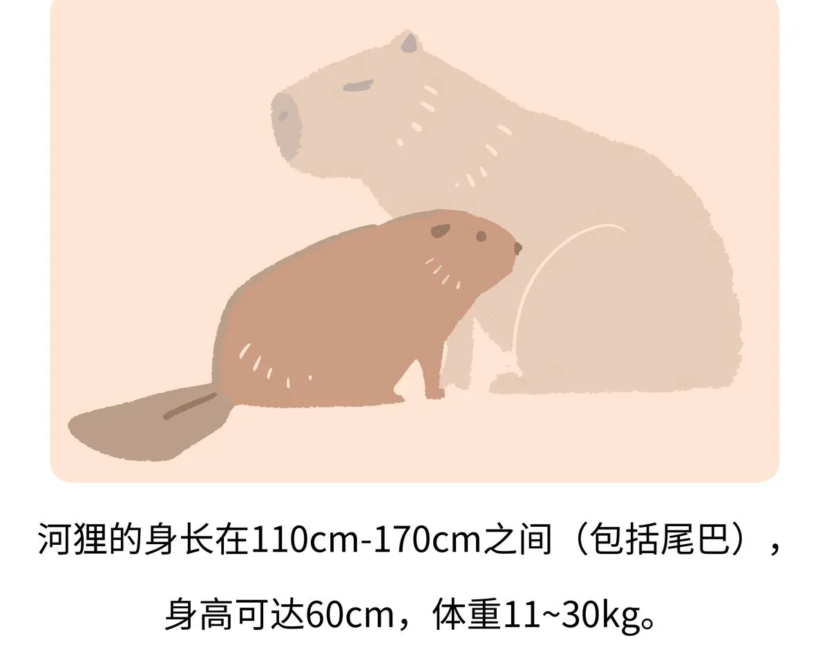 第211话 第26页