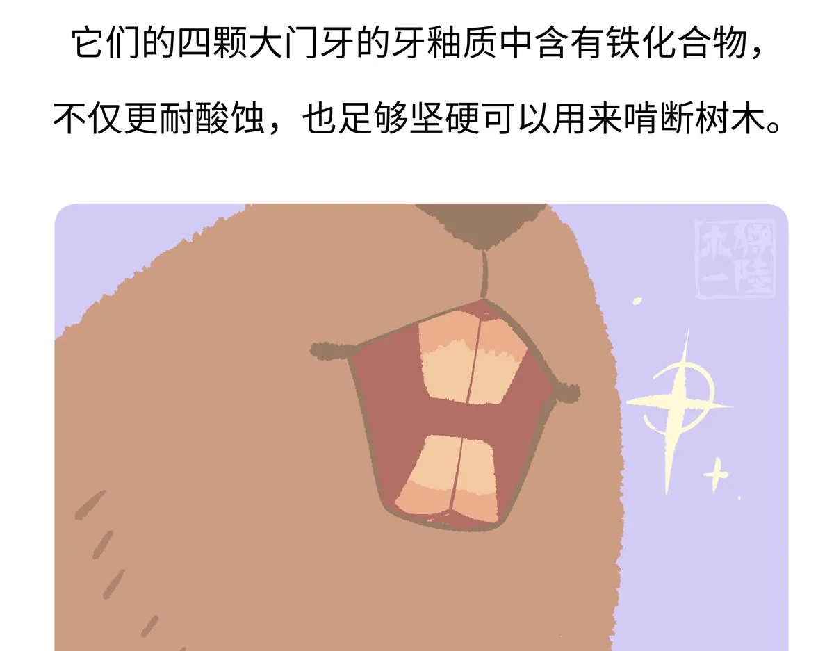 第211话 第28页